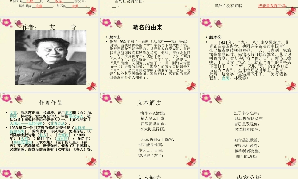 三年级语文下册 第6单元 28《鱼化石》课件3 沪教版-沪教版小学三年级下册语文课件