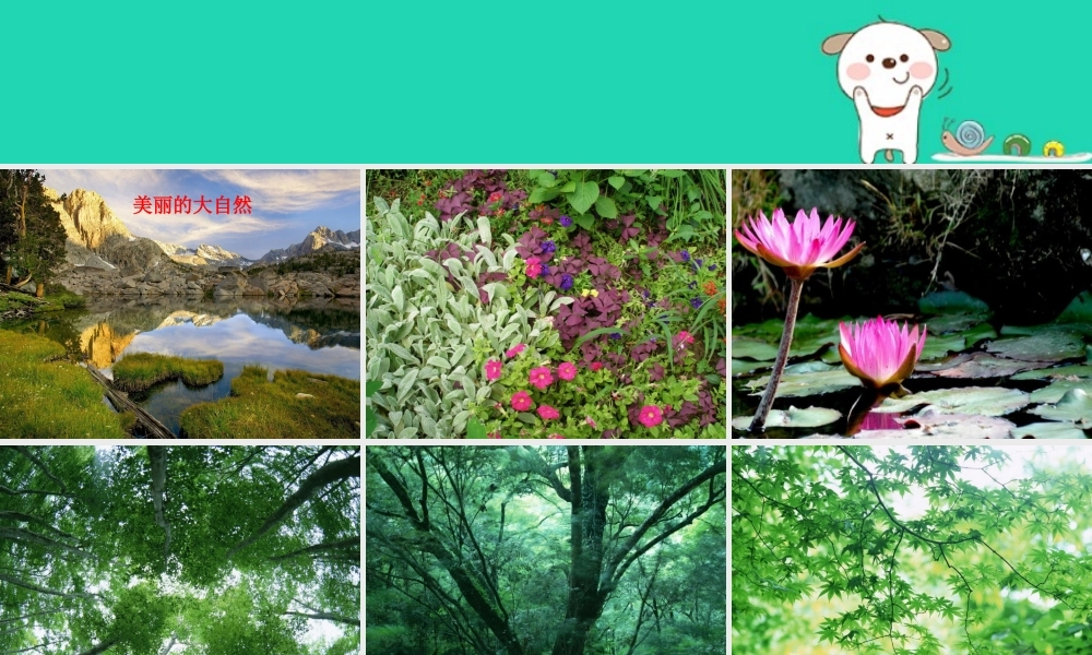 二年级科学上册 1.7 做大自然的孩子课件 教科版-教科版小学二年级上册自然科学课件