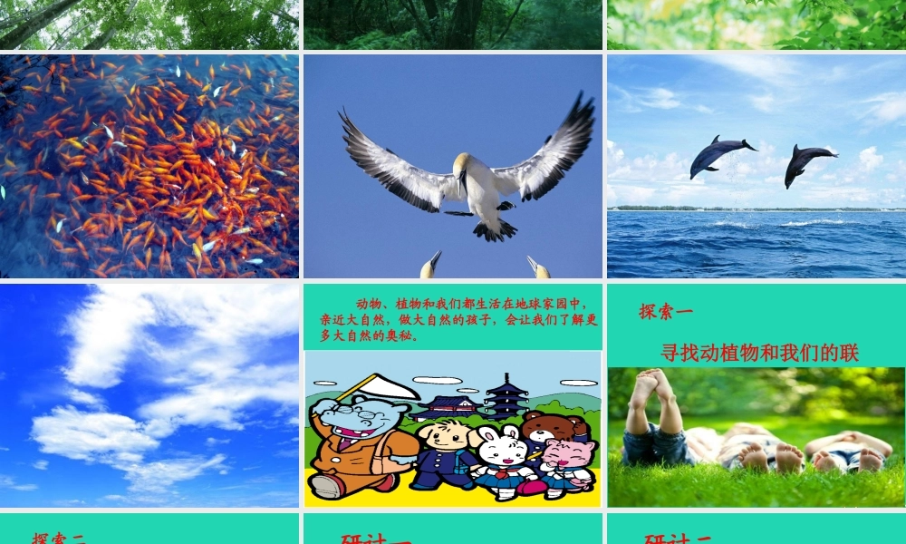 二年级科学上册 1.7 做大自然的孩子课件 教科版-教科版小学二年级上册自然科学课件