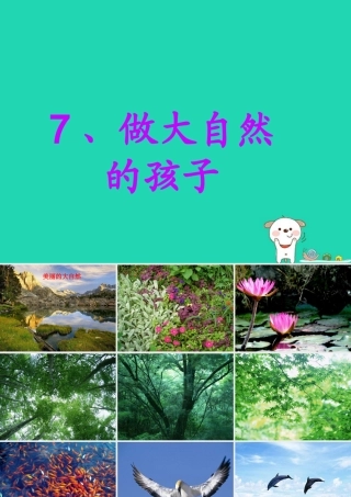 二年级科学上册 1.7 做大自然的孩子课件 教科版-教科版小学二年级上册自然科学课件