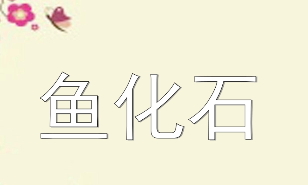 三年级语文下册 第6单元 28《鱼化石》课件4 沪教版-沪教版小学三年级下册语文课件