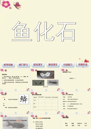 三年级语文下册 第6单元 28《鱼化石》课件4 沪教版-沪教版小学三年级下册语文课件