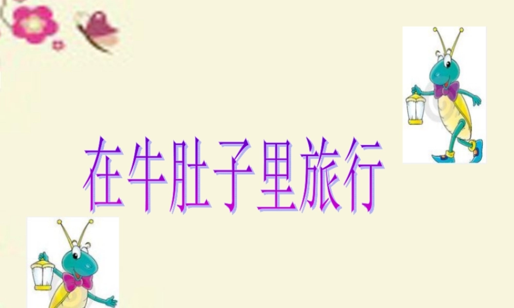 三年级语文下册 第6单元 29《在牛肚子里旅行》课件1 沪教版-沪教版小学三年级下册语文课件