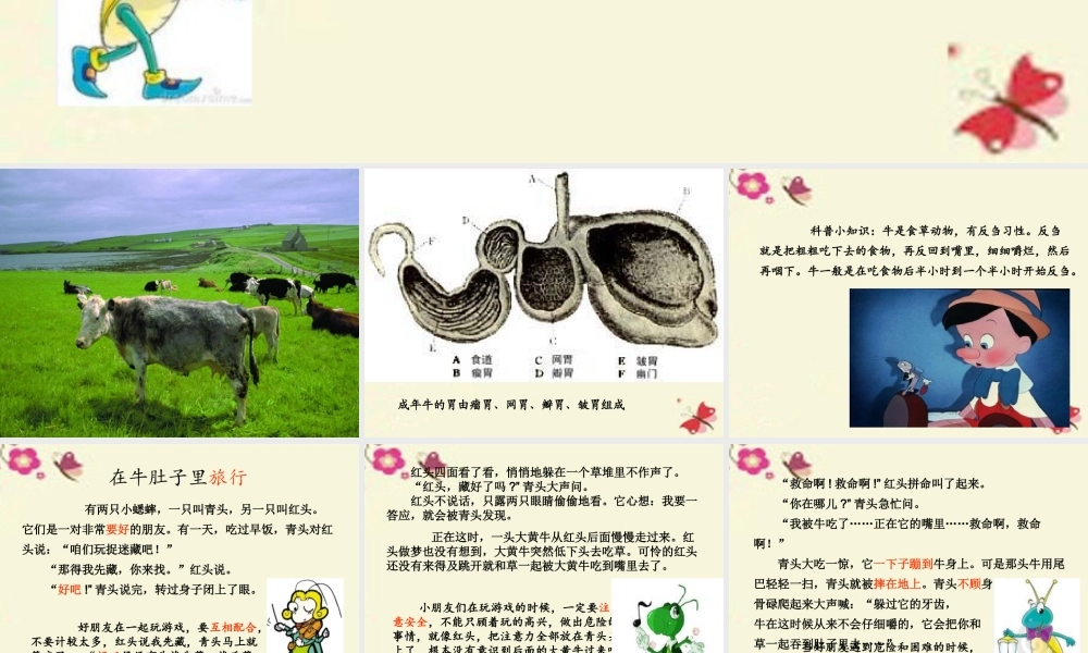 三年级语文下册 第6单元 29《在牛肚子里旅行》课件1 沪教版-沪教版小学三年级下册语文课件