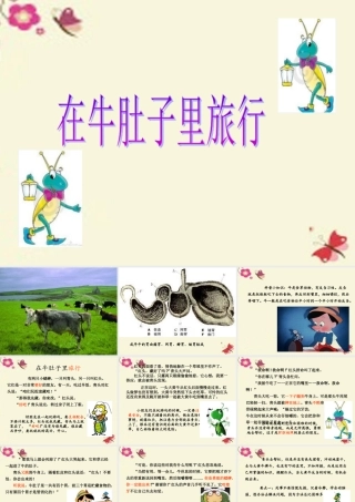 三年级语文下册 第6单元 29《在牛肚子里旅行》课件1 沪教版-沪教版小学三年级下册语文课件