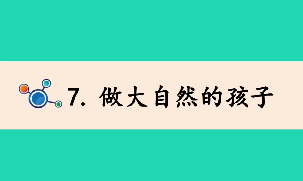 二年级科学上册 1.7做大自然的孩子课件 教科版-教科版小学二年级上册自然科学课件