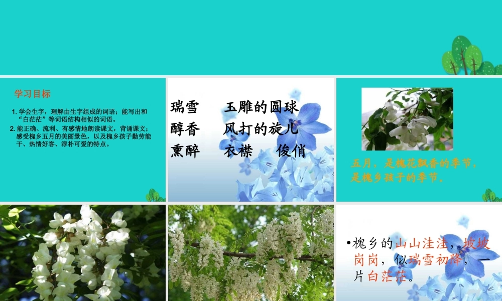 三年级语文下册 第八单元 26《槐乡五月》教学课件 苏教版-苏教版小学三年级下册语文课件