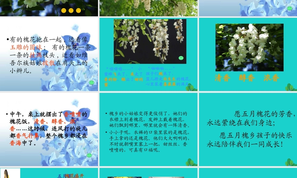 三年级语文下册 第八单元 26《槐乡五月》教学课件 苏教版-苏教版小学三年级下册语文课件