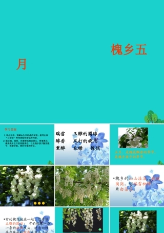 三年级语文下册 第八单元 26《槐乡五月》教学课件 苏教版-苏教版小学三年级下册语文课件