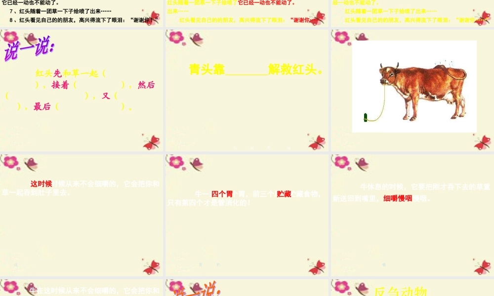 三年级语文下册 第6单元 29《在牛肚子里旅行》课件2 沪教版-沪教版小学三年级下册语文课件