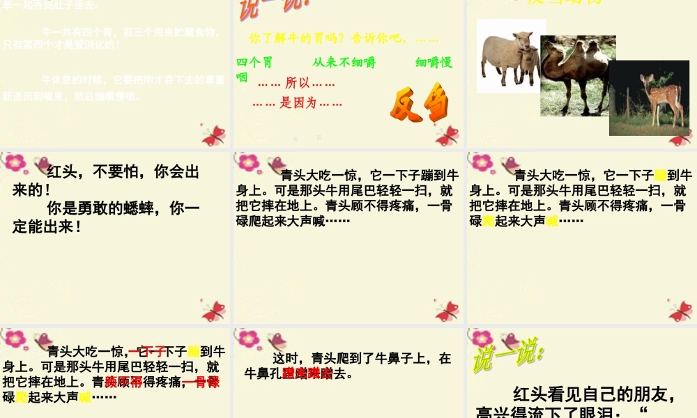 三年级语文下册 第6单元 29《在牛肚子里旅行》课件2 沪教版-沪教版小学三年级下册语文课件