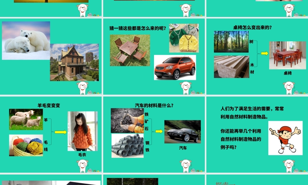 二年级科学上册 2.1《我们生活的世界》课件 教科版-教科版小学二年级上册自然科学课件