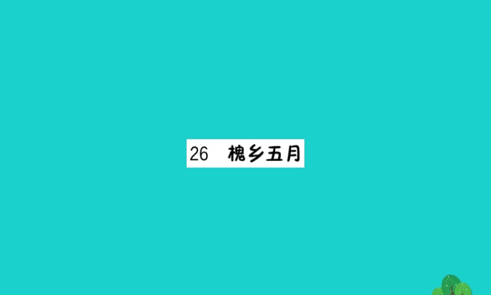 三年级语文下册 第八单元 26《槐乡五月》作业课件 苏教版-苏教版小学三年级下册语文课件