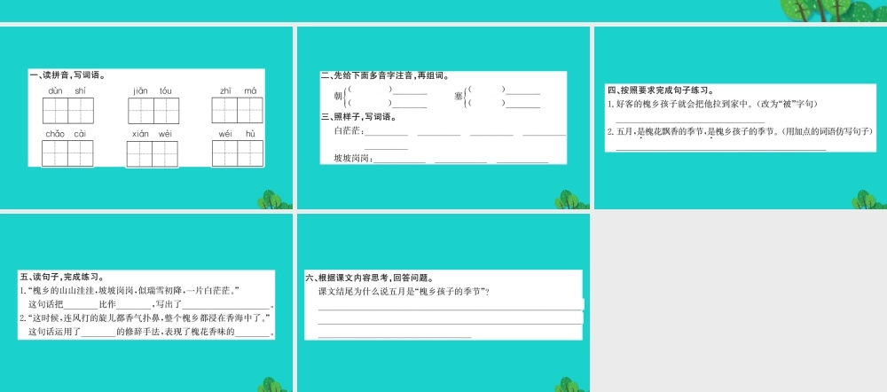 三年级语文下册 第八单元 26《槐乡五月》作业课件 苏教版-苏教版小学三年级下册语文课件