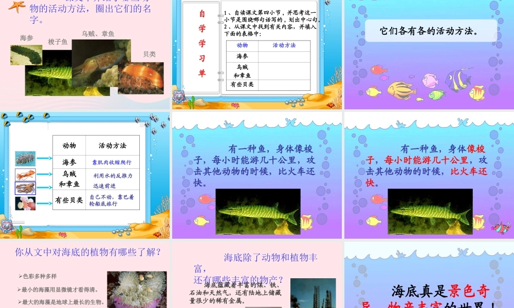三年级语文下册 第七单元 22海底世界课件1 苏教版-苏教版小学三年级下册语文课件