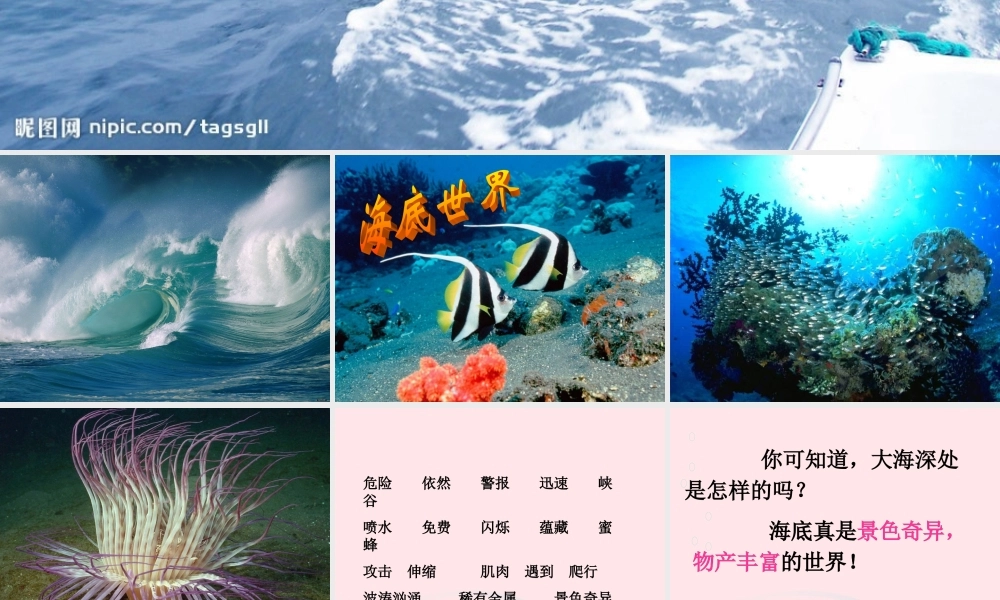 三年级语文下册 第七单元 22海底世界课件3 苏教版-苏教版小学三年级下册语文课件