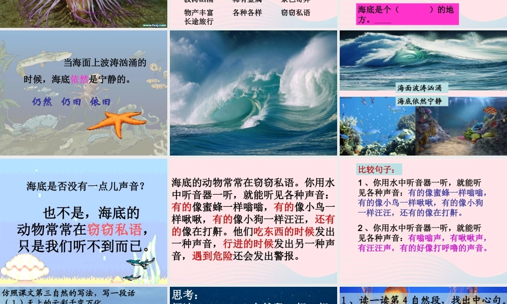 三年级语文下册 第七单元 22海底世界课件3 苏教版-苏教版小学三年级下册语文课件