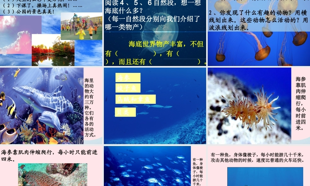 三年级语文下册 第七单元 22海底世界课件3 苏教版-苏教版小学三年级下册语文课件