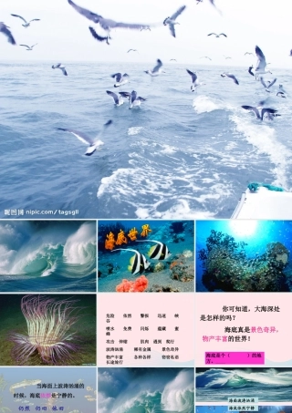 三年级语文下册 第七单元 22海底世界课件3 苏教版-苏教版小学三年级下册语文课件