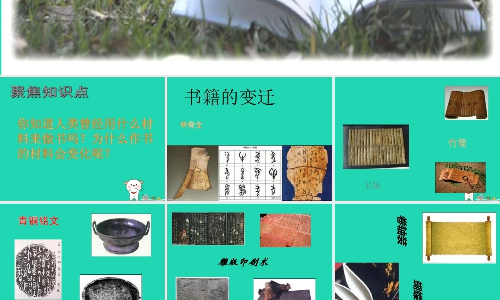 二年级科学上册 2.3 书的历史课件 教科版-教科版小学二年级上册自然科学课件