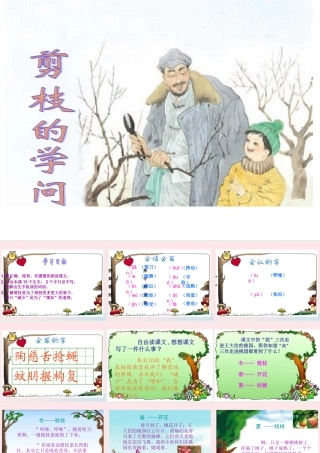 三年级语文下册 第八单元 26剪枝的学问课件2 苏教版-苏教版小学三年级下册语文课件