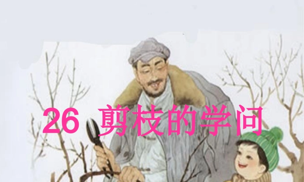 三年级语文下册 第八单元 26剪枝的学问课件3 苏教版-苏教版小学三年级下册语文课件