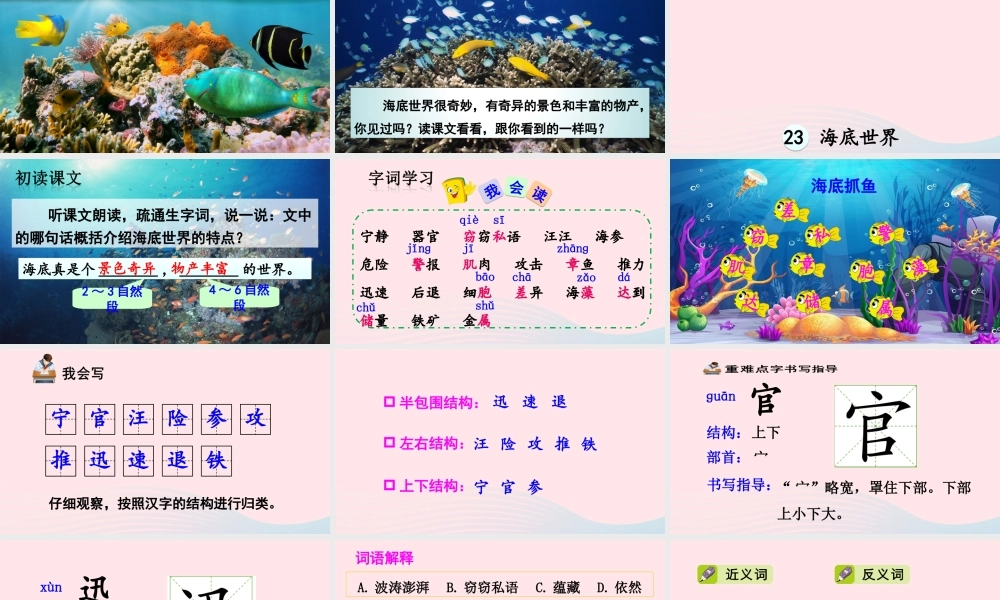三年级语文下册 第七单元 23 海底世界课件 新人教版-新人教版小学三年级下册语文课件