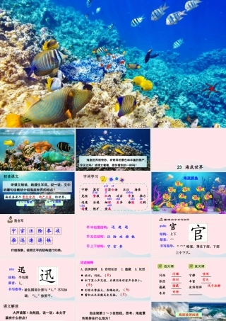 三年级语文下册 第七单元 23 海底世界课件 新人教版-新人教版小学三年级下册语文课件