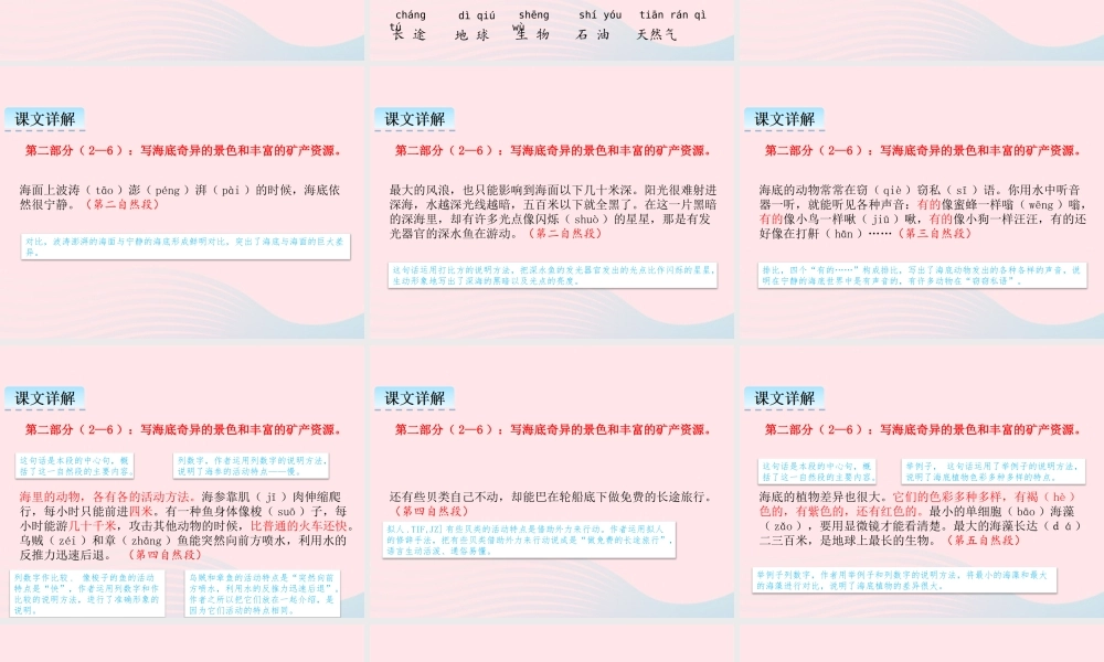 三年级语文下册 第七单元 23 海底世界课件 新人教版-新人教级下册语文课件