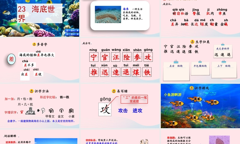 三年级语文下册 第七单元 23《海底世界》教学课件 新人教版-新人教级下册语文课件