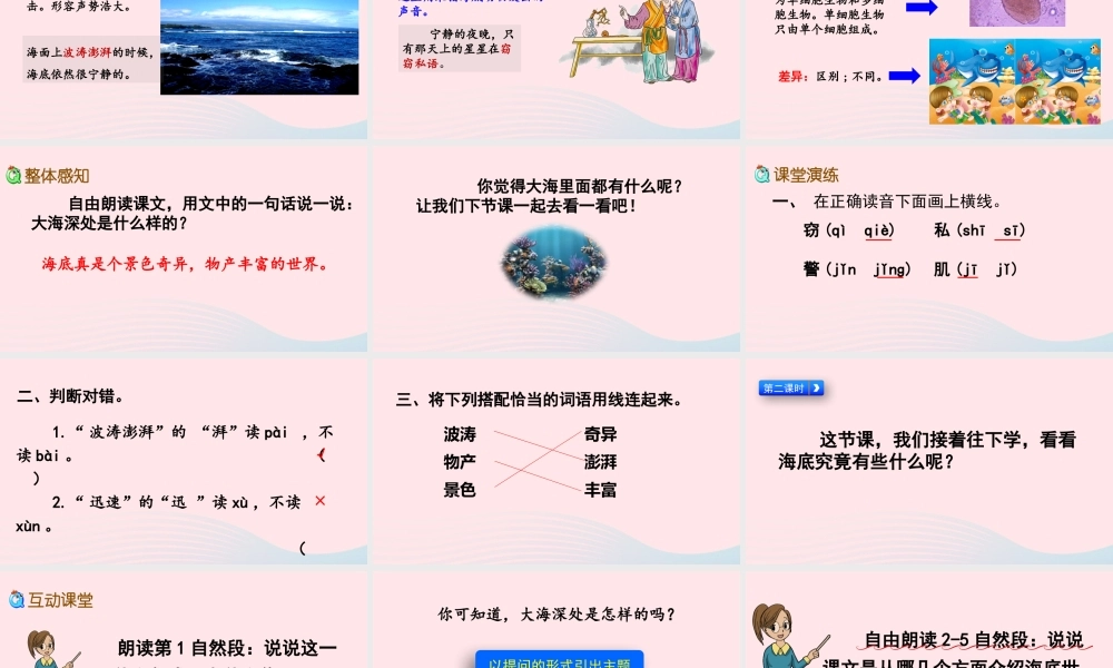 三年级语文下册 第七单元 23《海底世界》教学课件 新人教版-新人教级下册语文课件