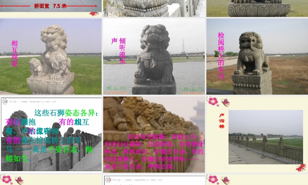 三年级语文下册 第7单元 26《卢沟桥》课件3 语文S版-语文S版小学三年级下册语文课件