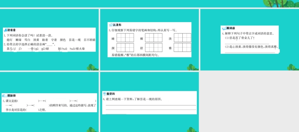 三年级语文下册 第八单元 27《昙花》预习课件 苏教版-苏教版小学三年级下册语文课件