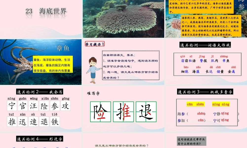 三年级语文下册 第七单元 23《海底世界》课堂教学课件 新人教版-新人教版小学三年级下册语文课件