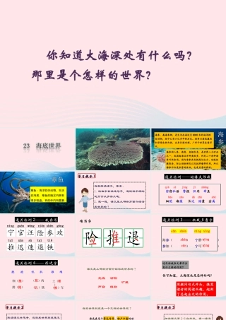 三年级语文下册 第七单元 23《海底世界》课堂教学课件 新人教版-新人教版小学三年级下册语文课件