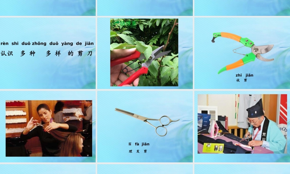 二年级科学上册 常见的工具 2 剪刀课件 冀教版-冀教版小学二年级上册自然科学课件