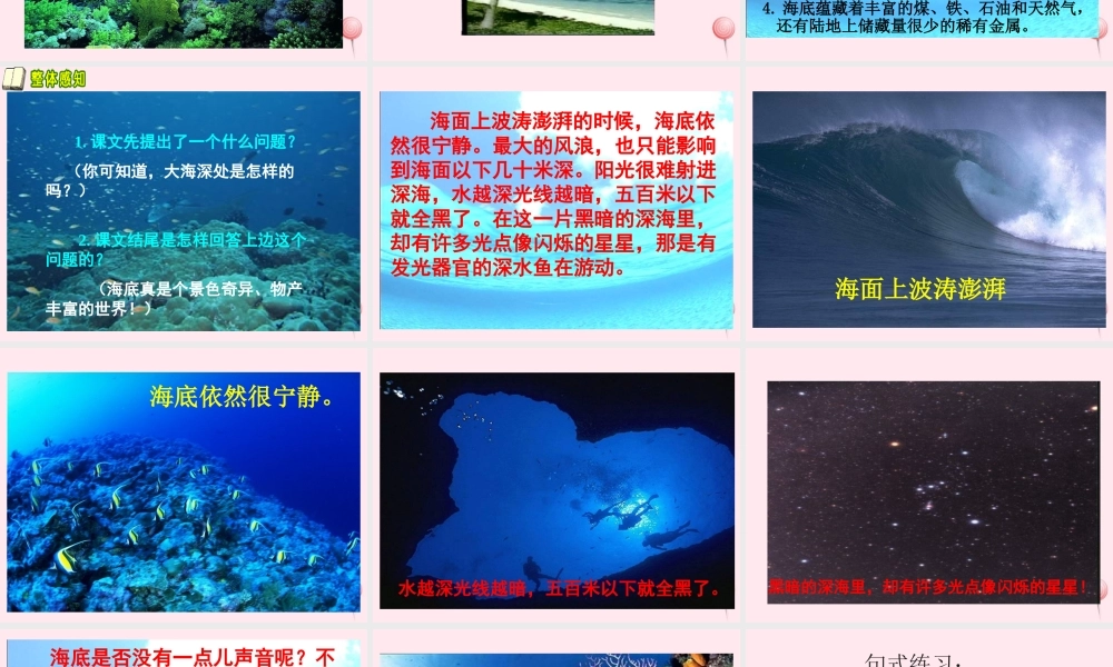 三年级语文下册 第七单元 23《海底世界》课堂教学课件1 新人教版-新人教版小学三年级下册语文课件