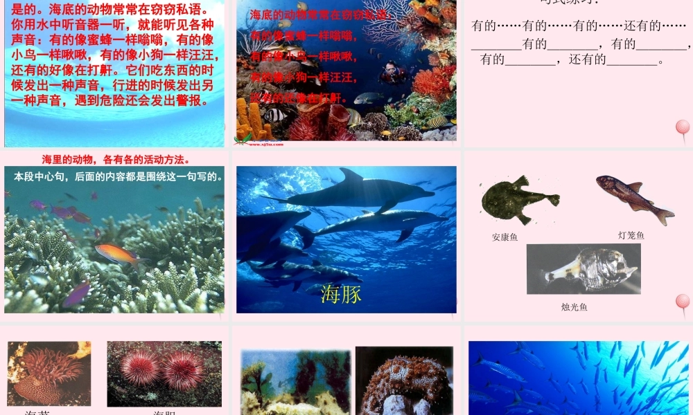 三年级语文下册 第七单元 23《海底世界》课堂教学课件1 新人教版-新人教版小学三年级下册语文课件