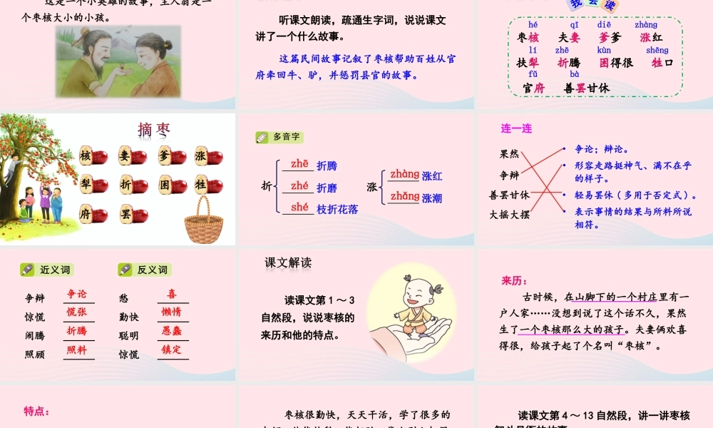 三年级语文下册 第八单元 28 枣核课件 新人教版-新人教版小学三年级下册语文课件
