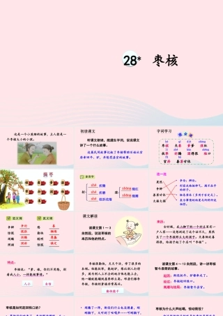 三年级语文下册 第八单元 28 枣核课件 新人教版-新人教版小学三年级下册语文课件