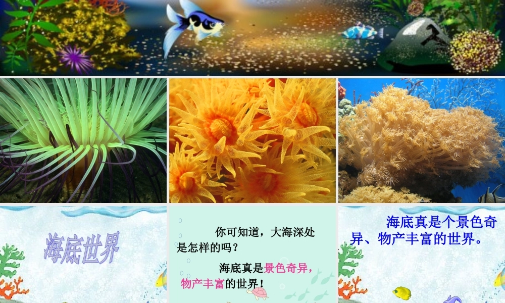 三年级语文下册 第七单元 23《海底世界》课堂教学课件2 新人教版-新人教版小学三年级下册语文课件