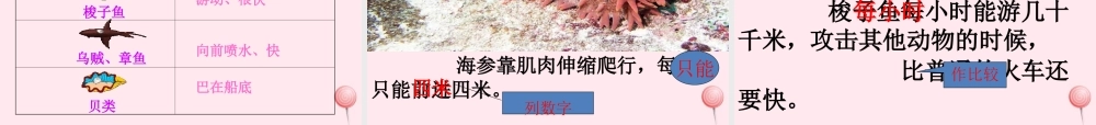 三年级语文下册 第七单元 23《海底世界》课堂教学课件2 新人教版-新人教版小学三年级下册语文课件