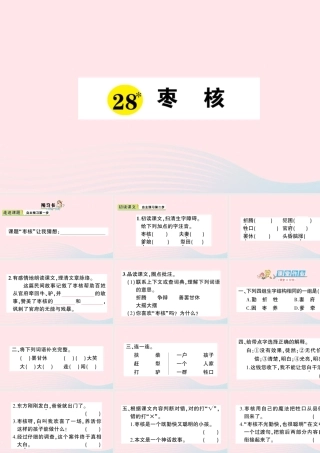 三年级语文下册 第八单元 28 枣核习题课件 新人教版-新人教版小学三年级下册语文课件