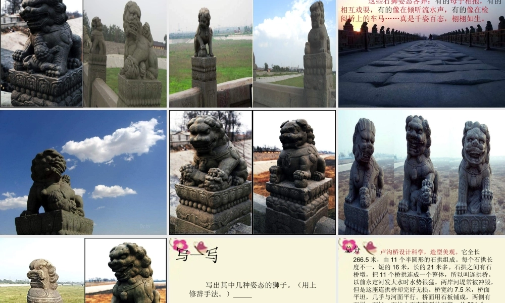 三年级语文下册 第7单元 26《卢沟桥》课件10 语文S版-语文S版小学三年级下册语文课件