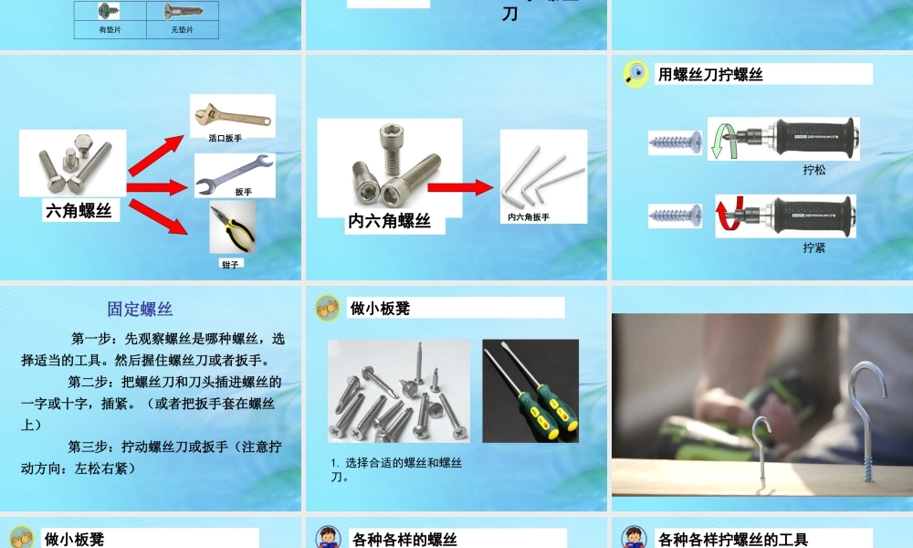 二年级科学上册 常见的工具 3 拧螺丝课件 冀教版-冀教版小学二年级上册自然科学课件