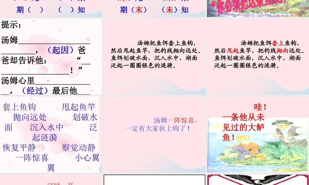 三年级语文下册 第六单元 17你必须把这条鱼放掉课件1 苏教版-苏教版小学三年级下册语文课件