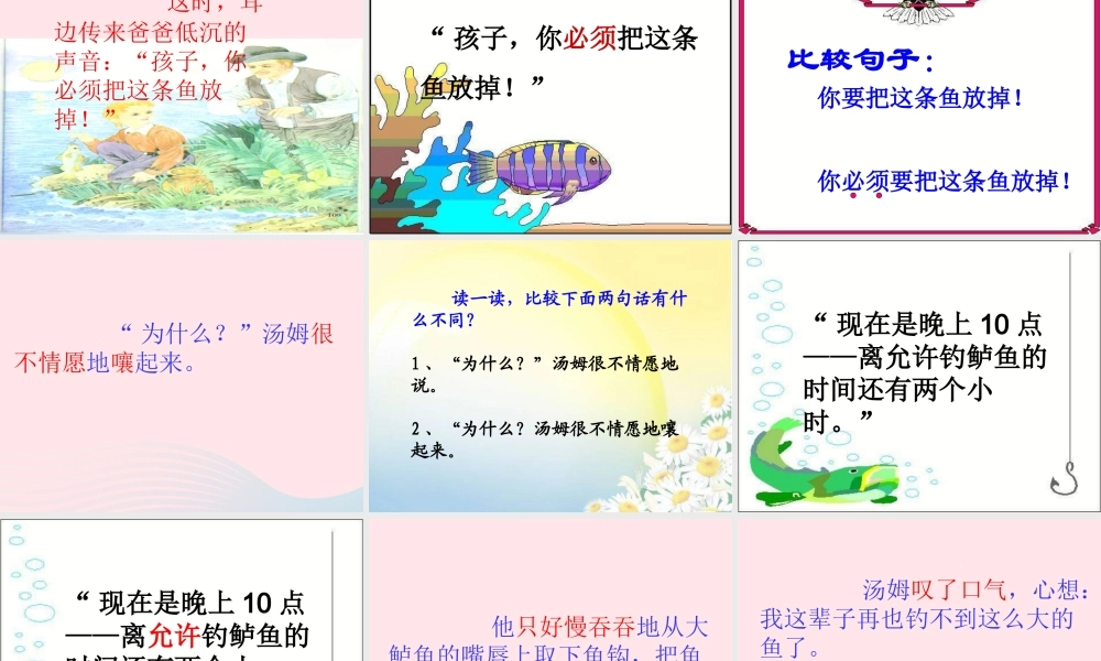 三年级语文下册 第六单元 17你必须把这条鱼放掉课件1 苏教版-苏教版小学三年级下册语文课件