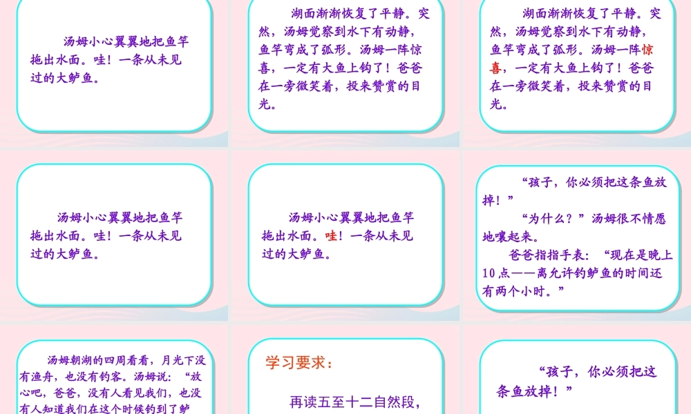 三年级语文下册 第六单元 17你必须把这条鱼放掉课件3 苏教版-苏教版小学三年级下册语文课件