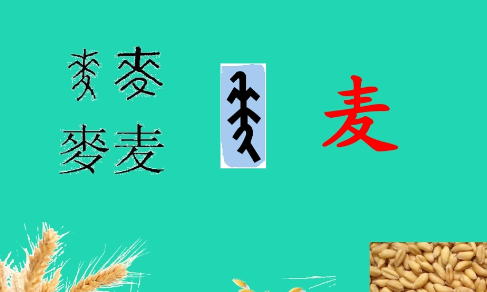 三年级语文下册 第二单元 4《三袋麦子》教学课件 苏教版-苏教版小学三年级下册语文课件