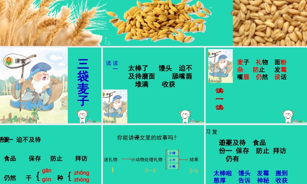 三年级语文下册 第二单元 4《三袋麦子》教学课件 苏教版-苏教版小学三年级下册语文课件